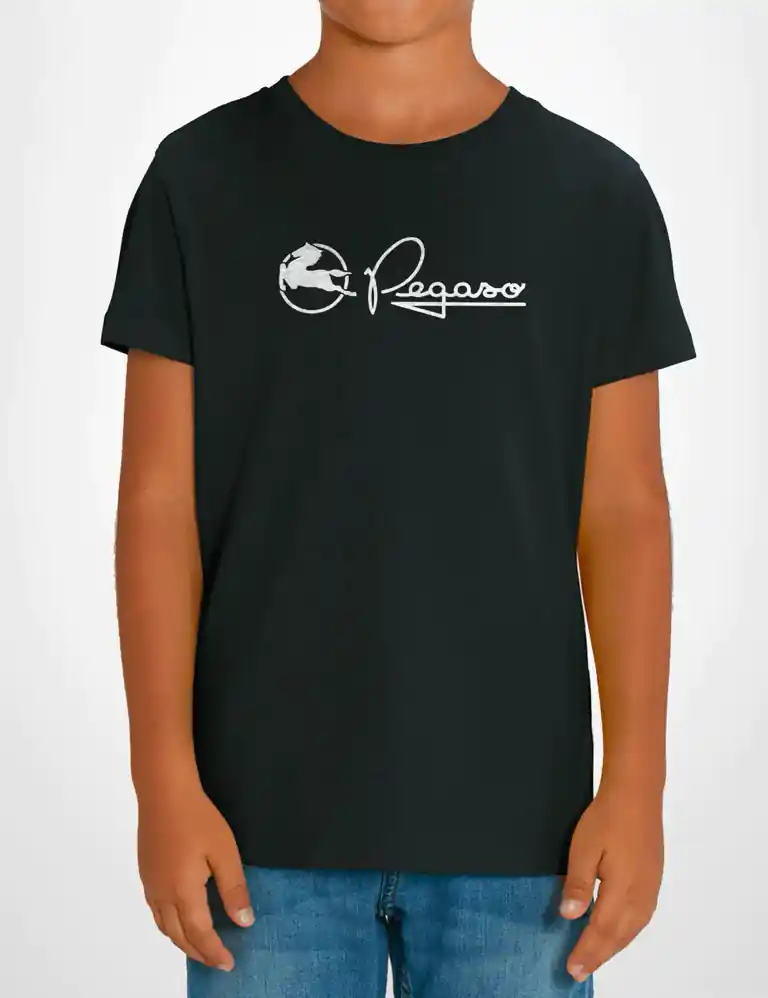 Camiseta Niño Pegaso